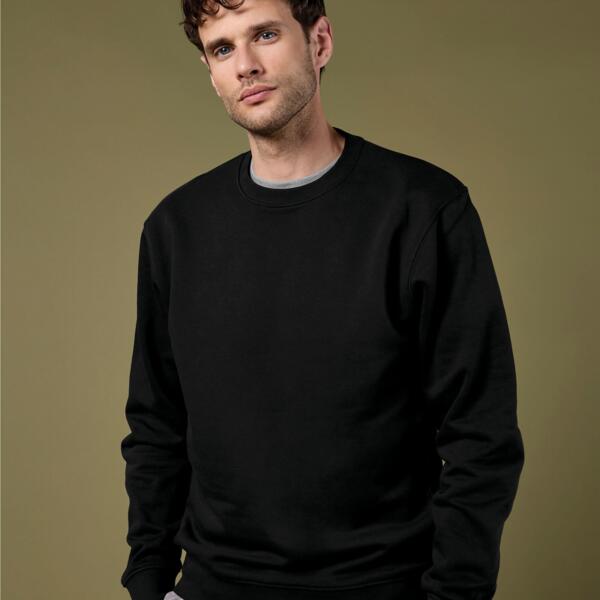 Regular Fit Sweatshirt Thumbnail